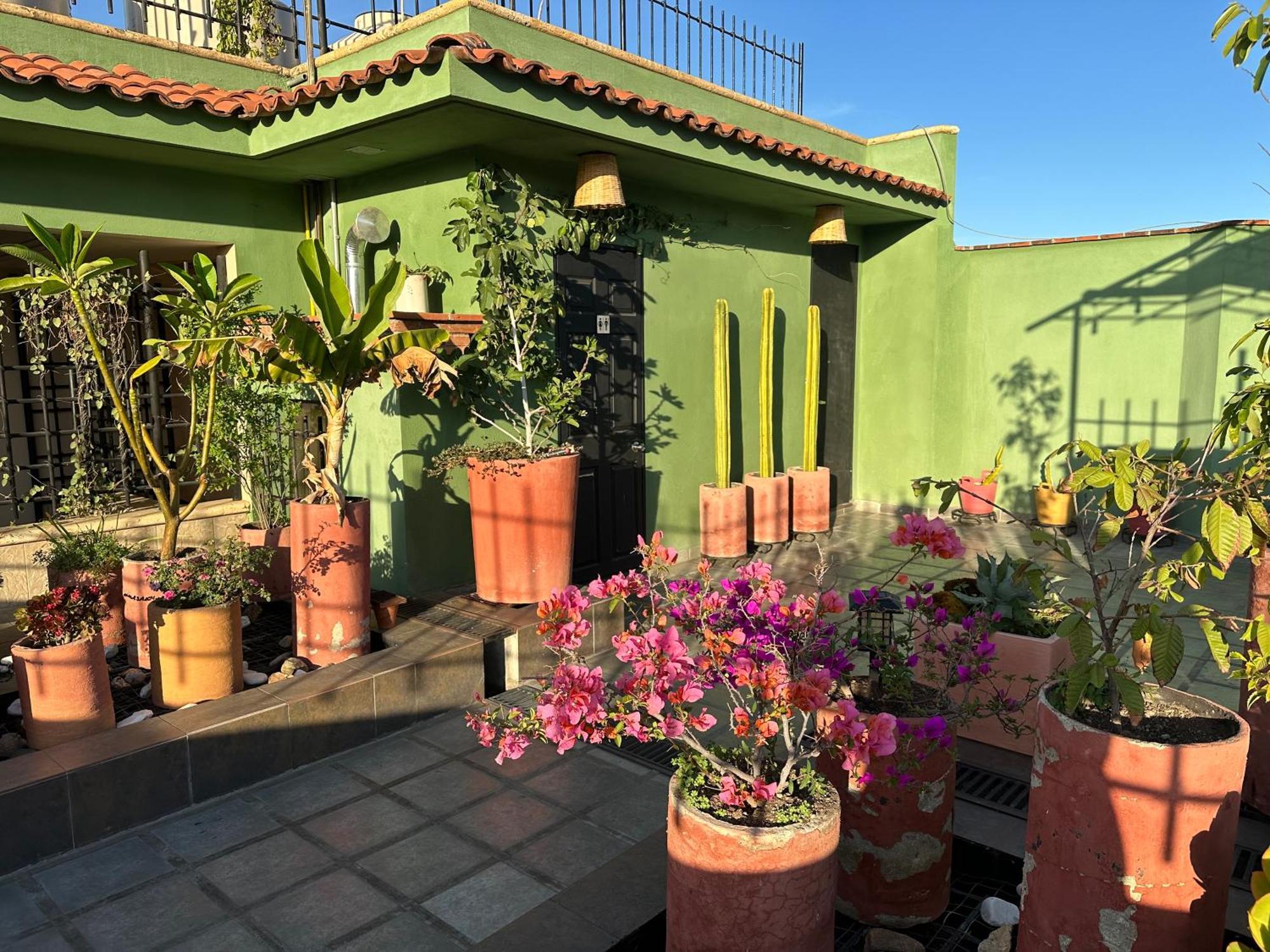 Hostal Nordes Oaxaca ภายนอก รูปภาพ